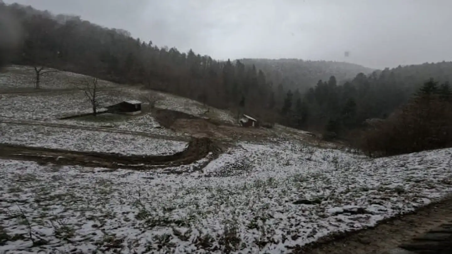 Bauland kaufen - Im Königstal 2, 8487 Zell ZH - Foto 2