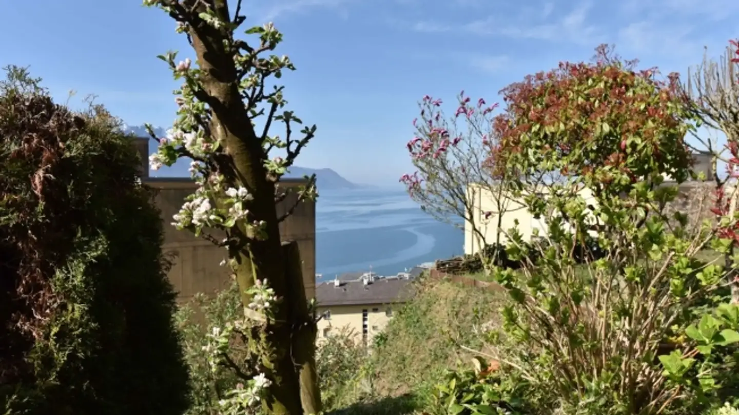 Apartment for sale - Chemin De La Caudraz 1b, 1820 Montreux