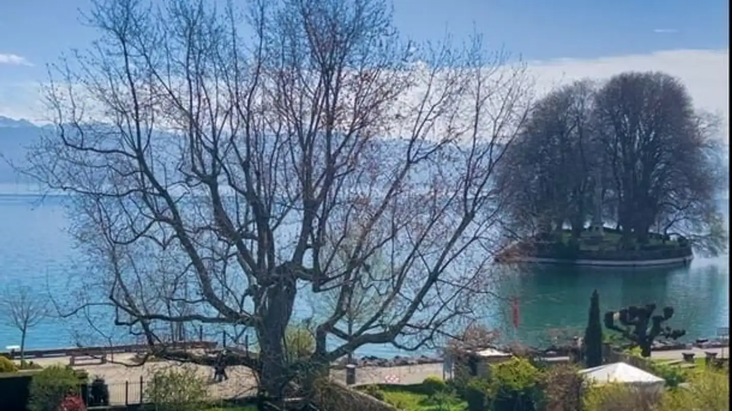 Appartamento in affitto - Grand-Rue, 1180 Rolle - Photo 2