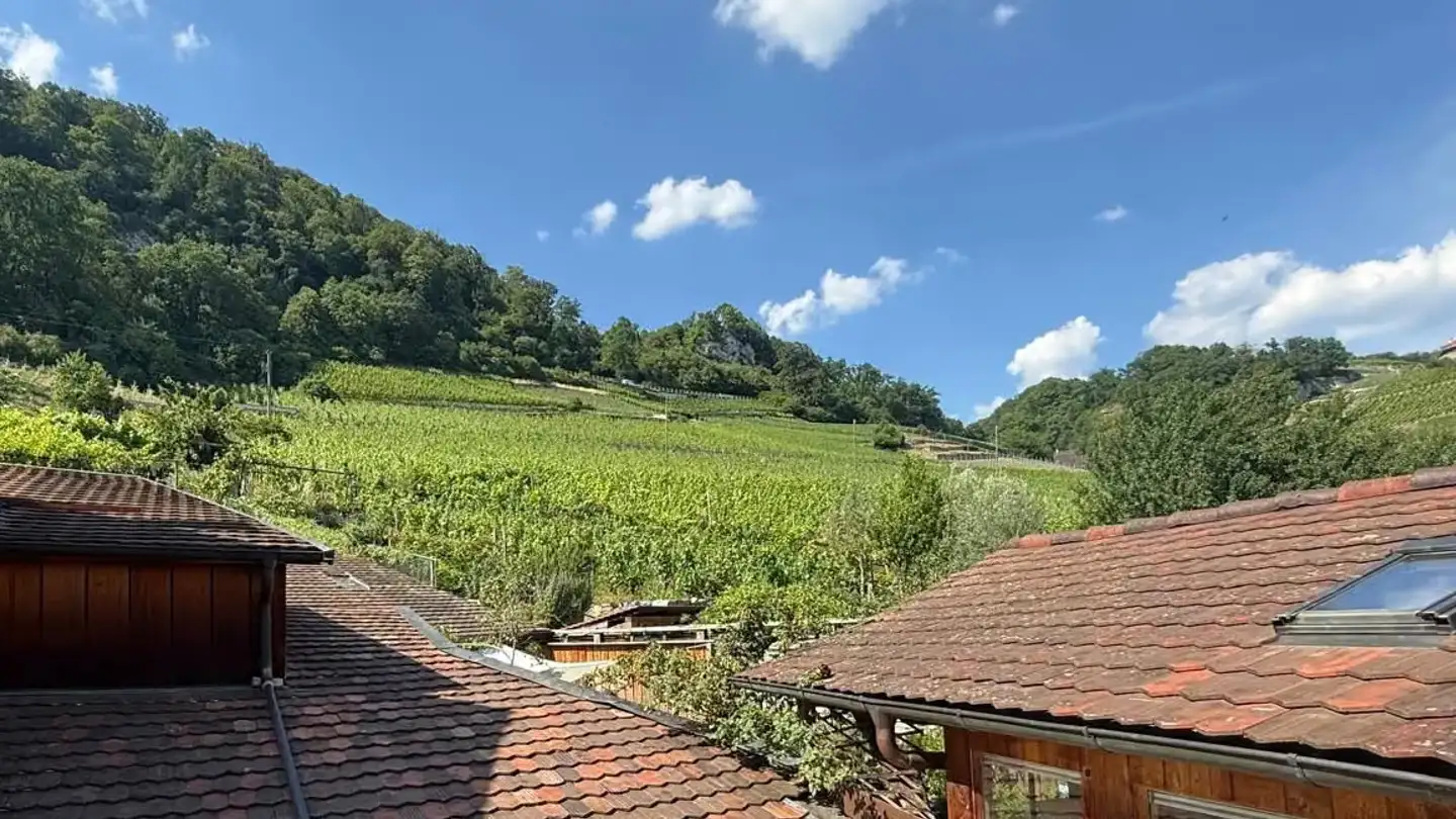 Maisonette mieten - Dorfgasse 15, 2513 Twann