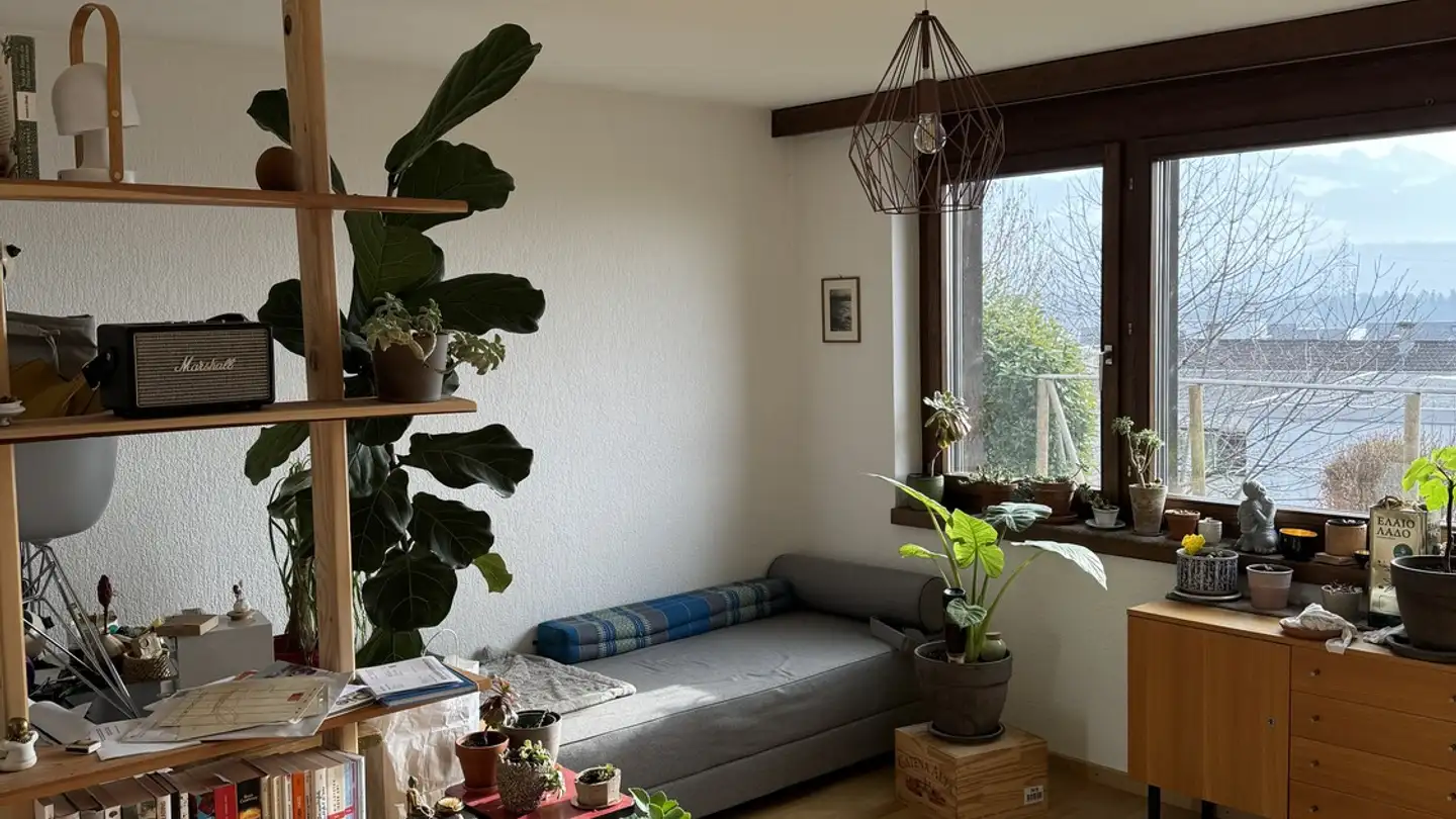 Single house for rent - Büel, 8733 Eschenbach SG - Photo 4