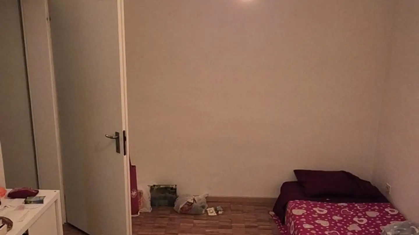 Chambre à louer - Birmensdorferstrasse 511, 8055 Zürich - Photo 3