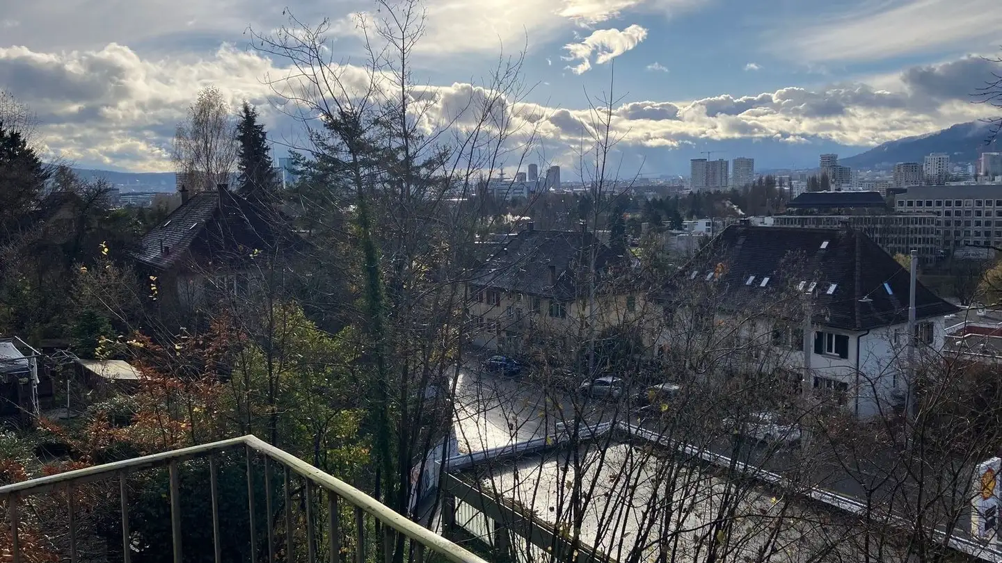 Apartment for rent - Vorhaldenstrasse 33, 8049 Zürich - Photo 4