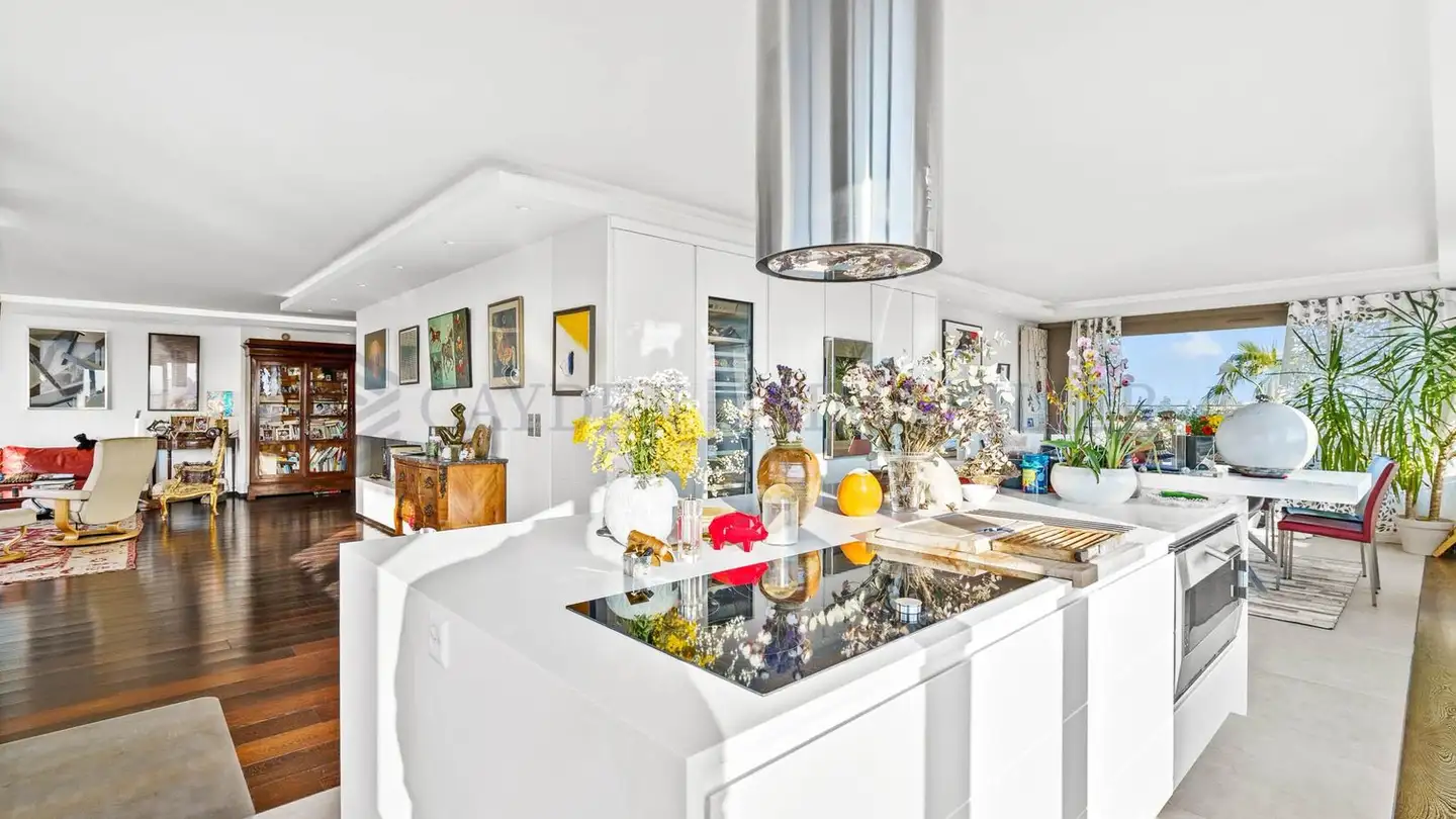 Attique à vendre - 1208 Genève