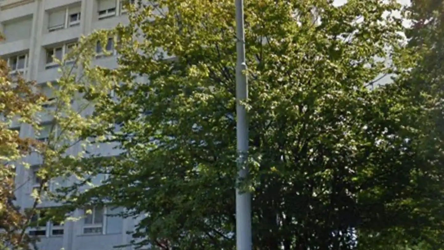 Garage singolo in affitto - Rue Albert- Gos 3, 1206 Genève