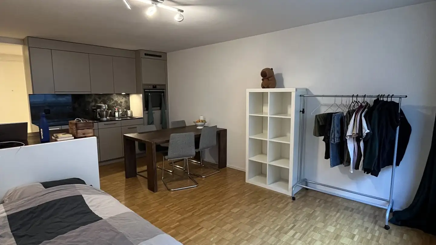 Furnished apartment for rent - Flüelastrasse 47, 8047 Zürich - Photo 2