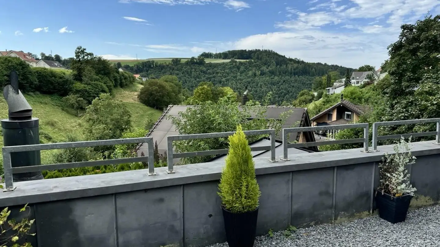 Villa for sale - 4434 Hölstein - Photo 3