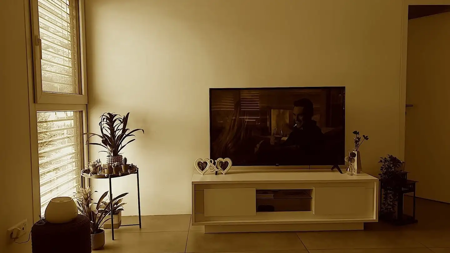 Appartement à louer - Via Sasso Corbaro 20, 6593 Cadenazzo - Photo 2