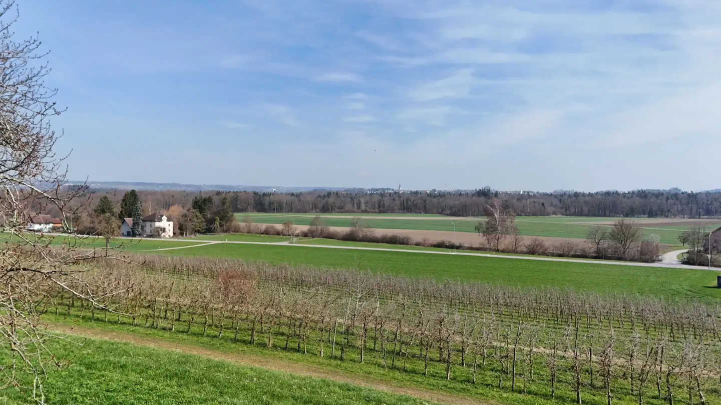 Maison individuelle à vendre - Untere Breite 4, 9215 Buhwil - Photo 3