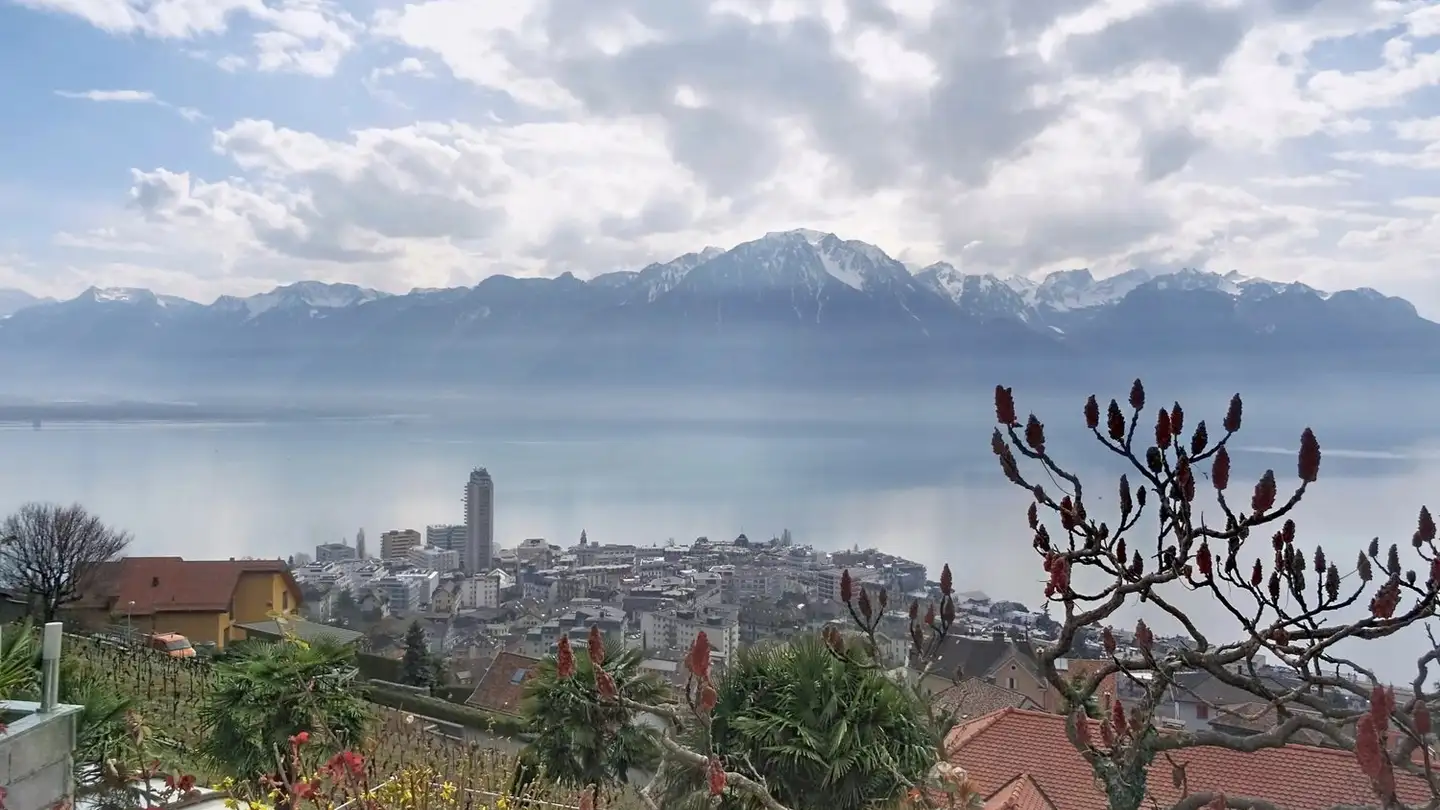Villa in affitto - Chemin De La Boriodaz 36, 1820 Montreux