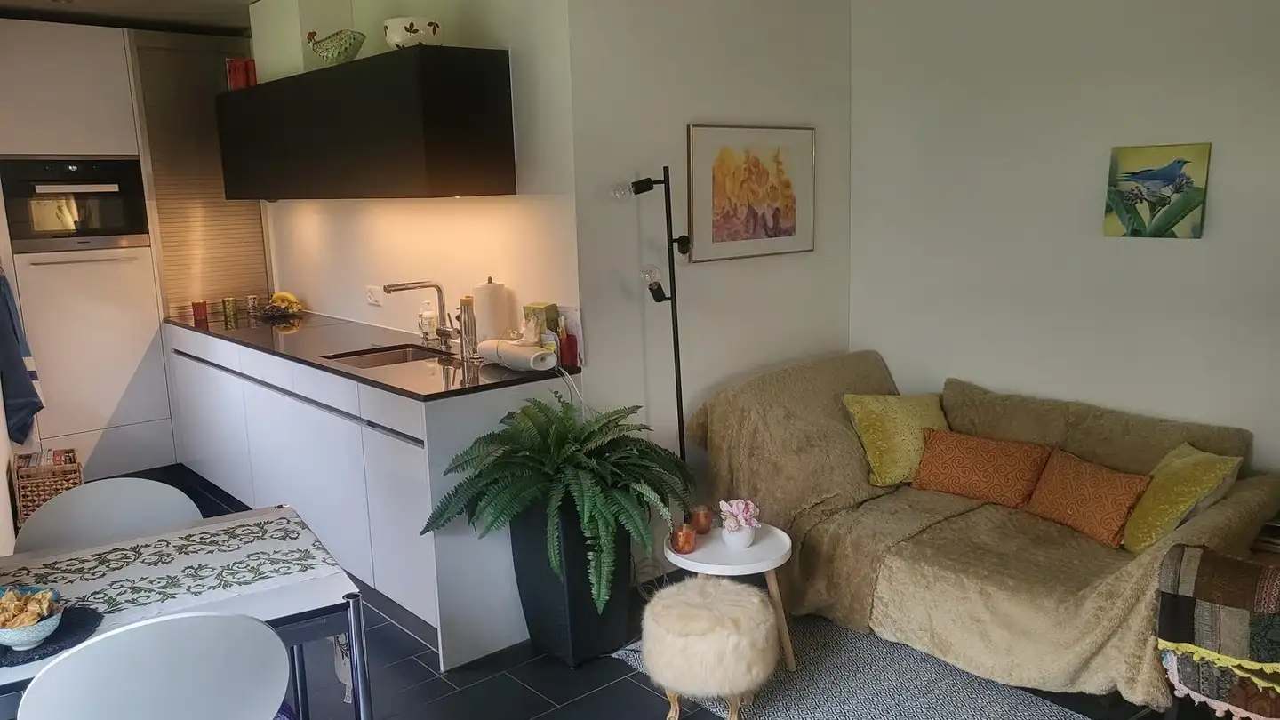 Appartement meublé à louer - 8125 Zollikerberg - Photo 2