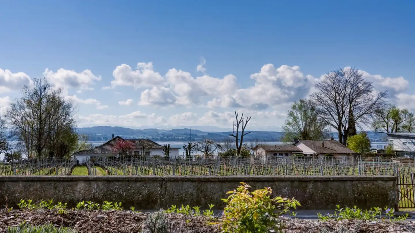 Wohnung mieten - Chemin De Paverez 10, 1787 Môtier (Vully) - Foto 4
