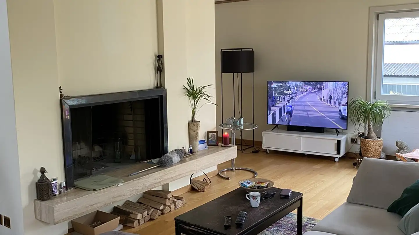 Wohnung mieten - 8052 Zürich