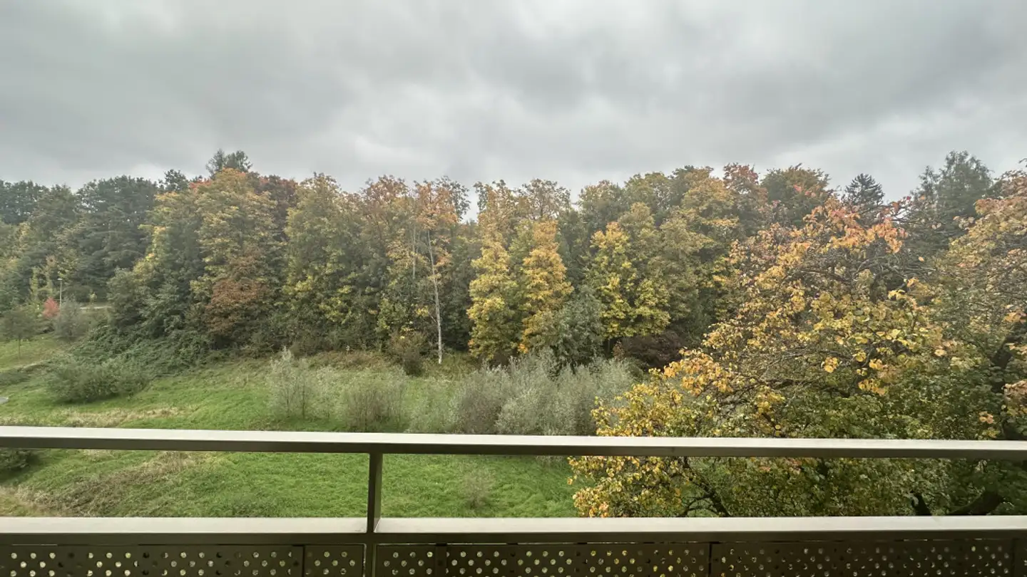 Appartement à louer - Allée Charles-Edouard-Guillaume 1b, 1723 Marly - Photo 4