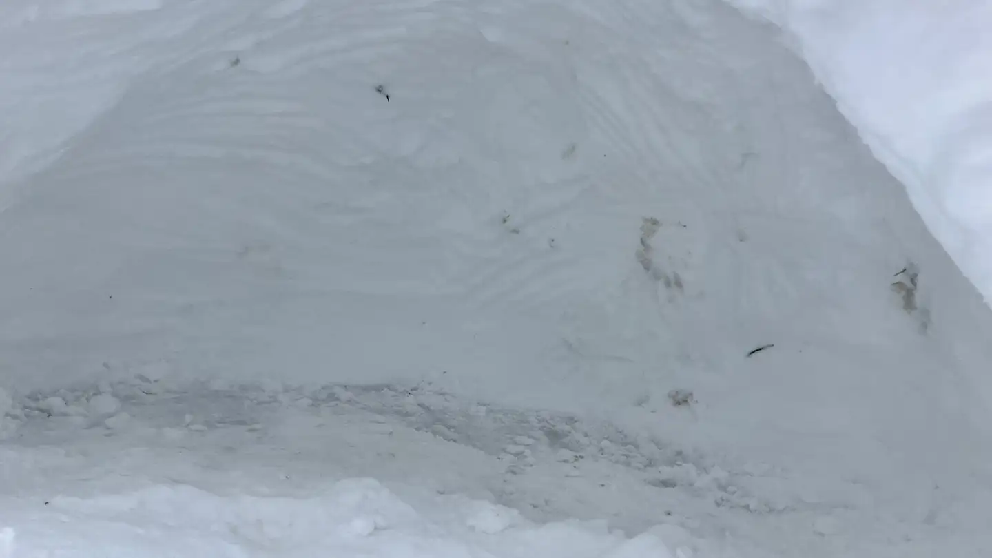 Appartamento in affitto - Route Du Quarteron, 1428 Provence - Foto 3