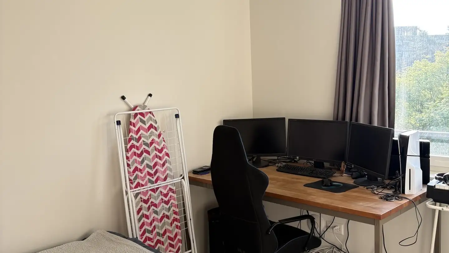 Single room for rent - Steinhofstrasse 15a, 6005 Luzern - Photo 4