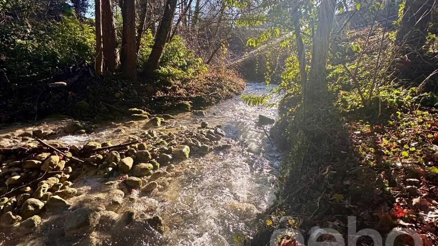 Maison en terrasse à vendre - 1272 Genolier - Photo 3