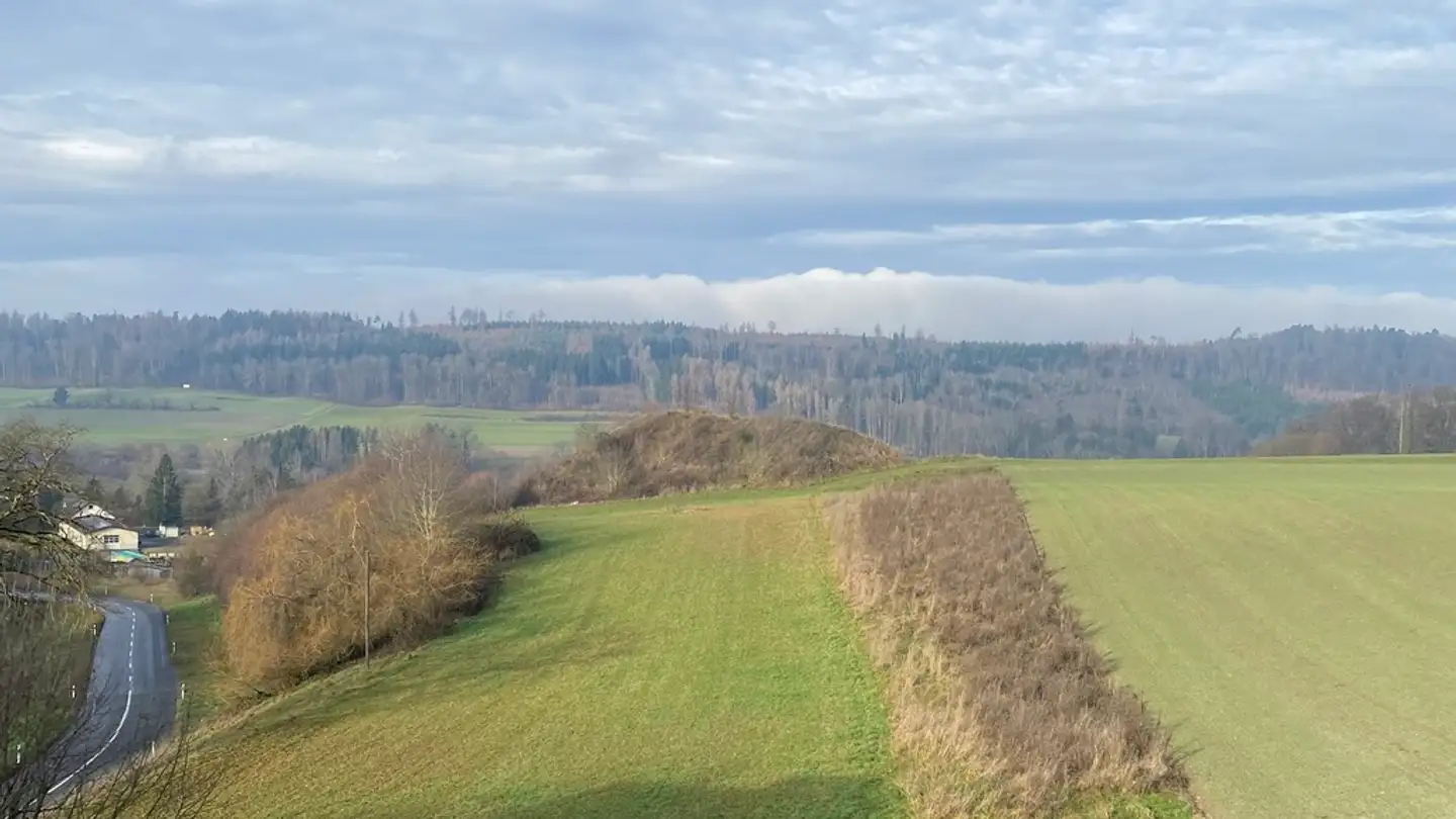 Appartamento in affitto - Route De L'ancien-Poste 24, 1721 Courtion - Foto 3