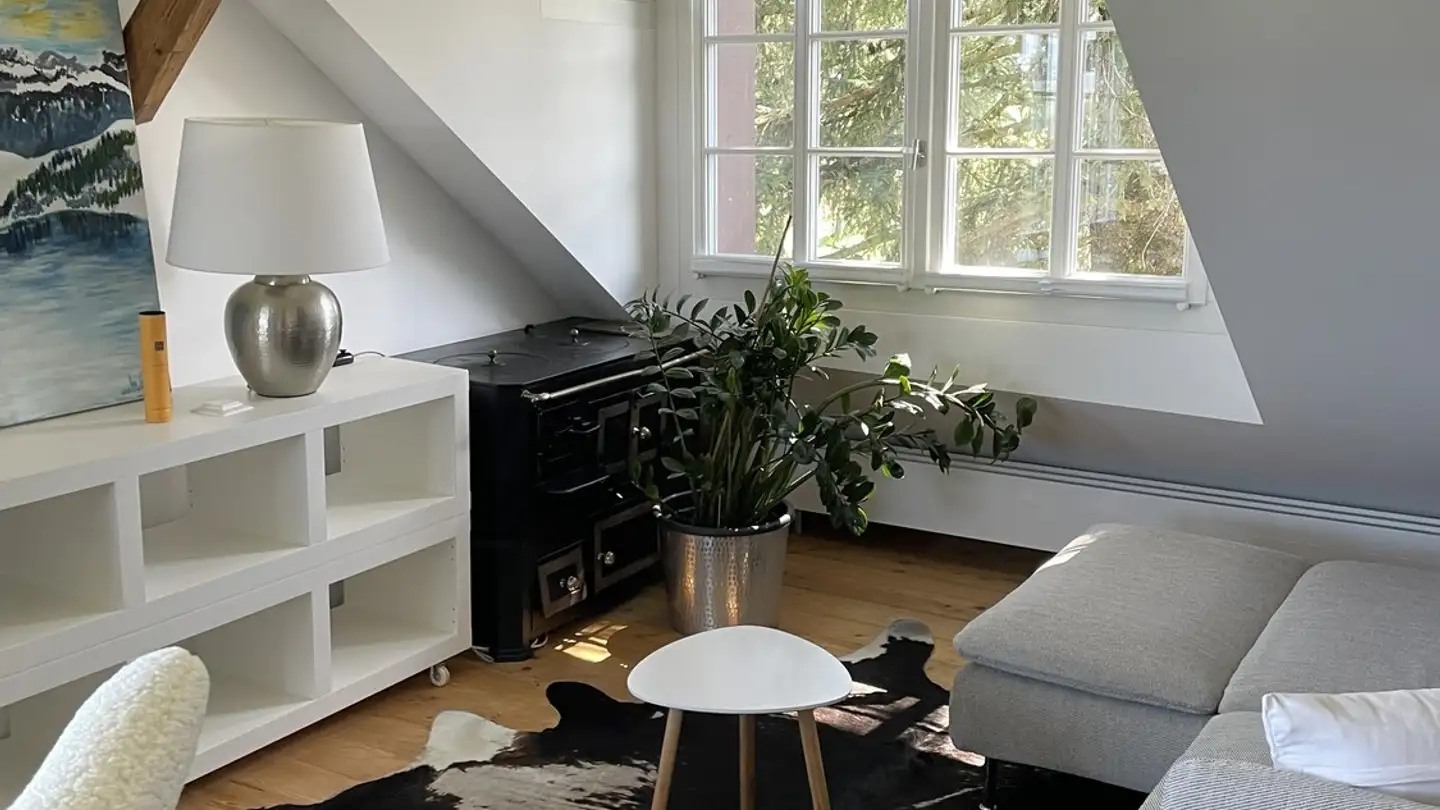 Apartment for rent - 8815 Horgenberg - Photo 2