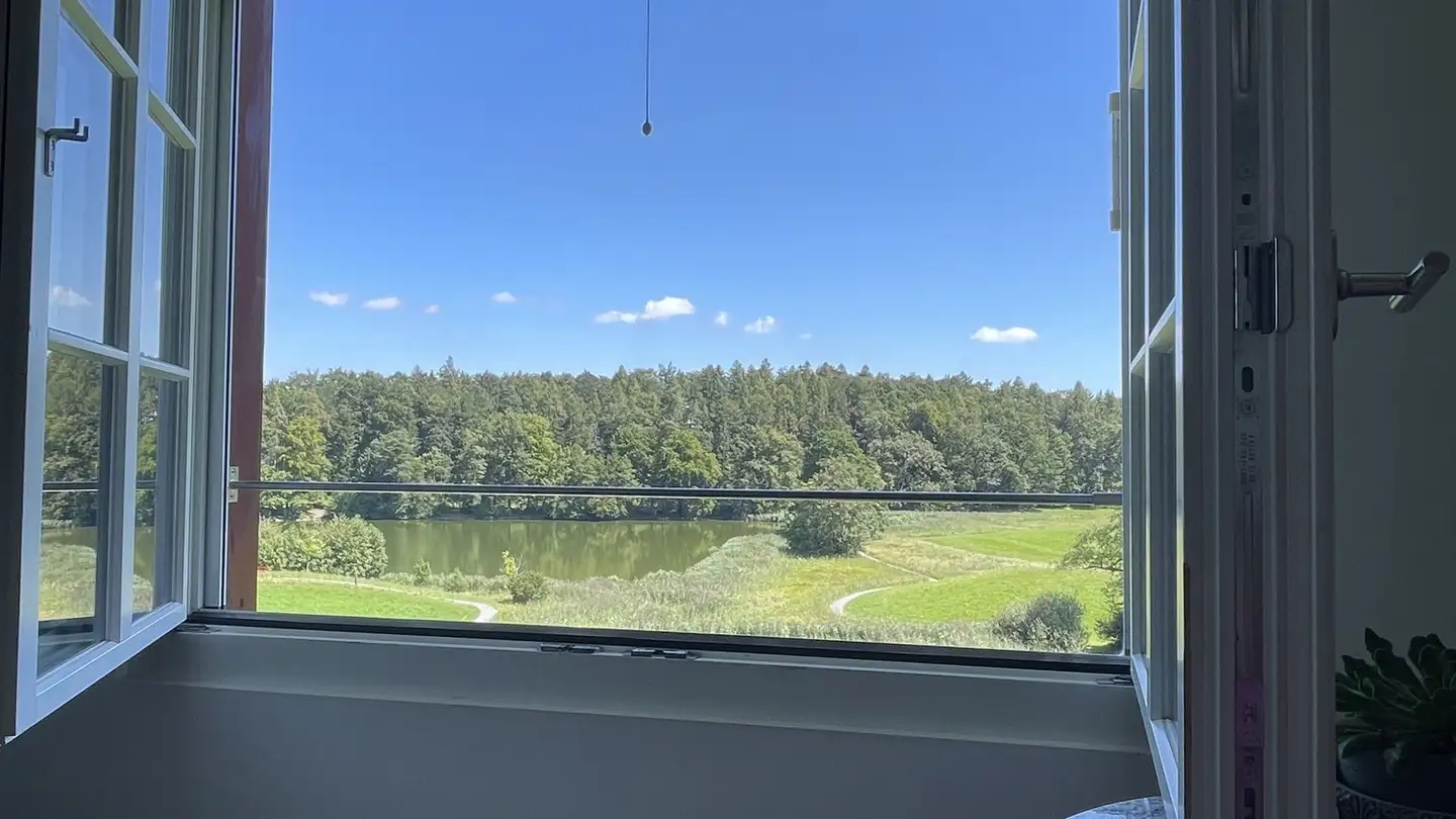 Apartment for rent - 8815 Horgenberg - Photo 3