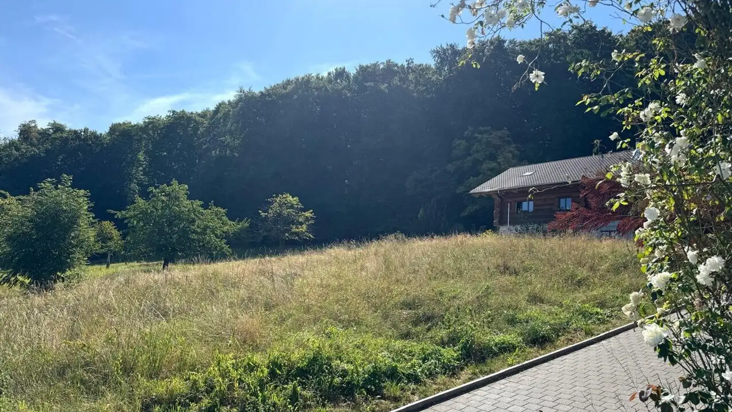 Bauland kaufen - 4116 Metzerlen