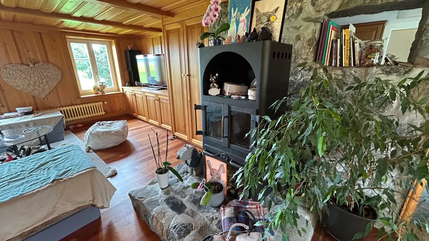 Wohnung mieten - Route Du Moléson 30, 1670 Bionnens - Foto 4