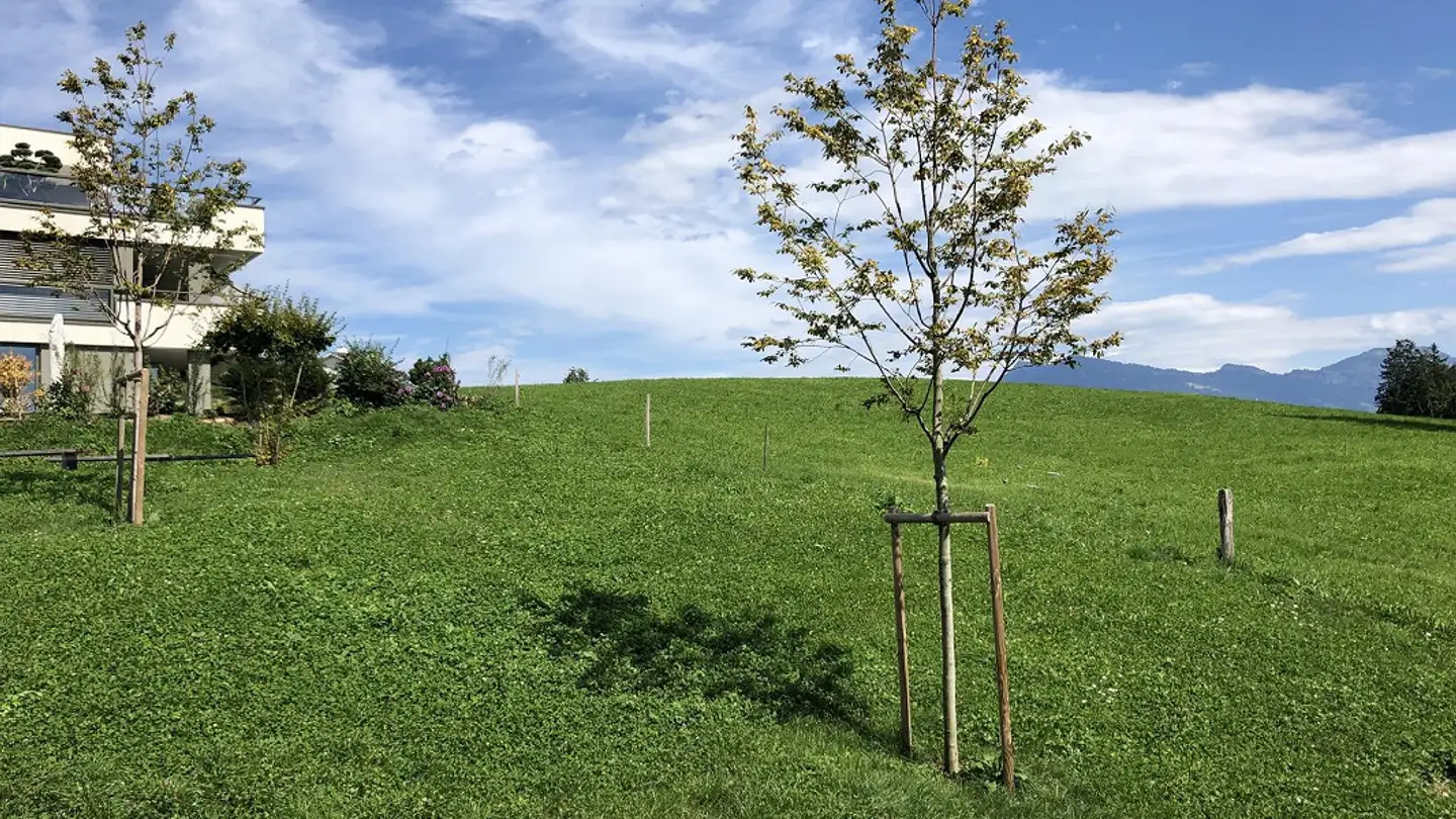 Apartment for rent - Oberrütistrasse 6, 6048 Horw