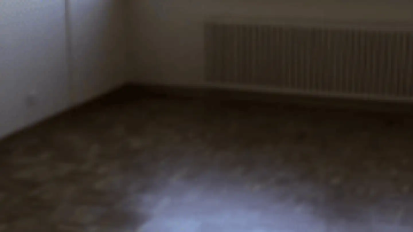 Appartamento in affitto - Chemin Des Palettes 1, 1212 Grand-Lancy