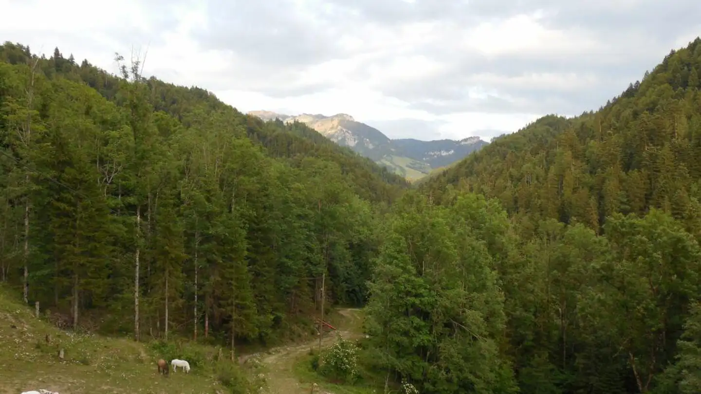 Casa singola in vendita - 6162 Entlebuch - Photo 3