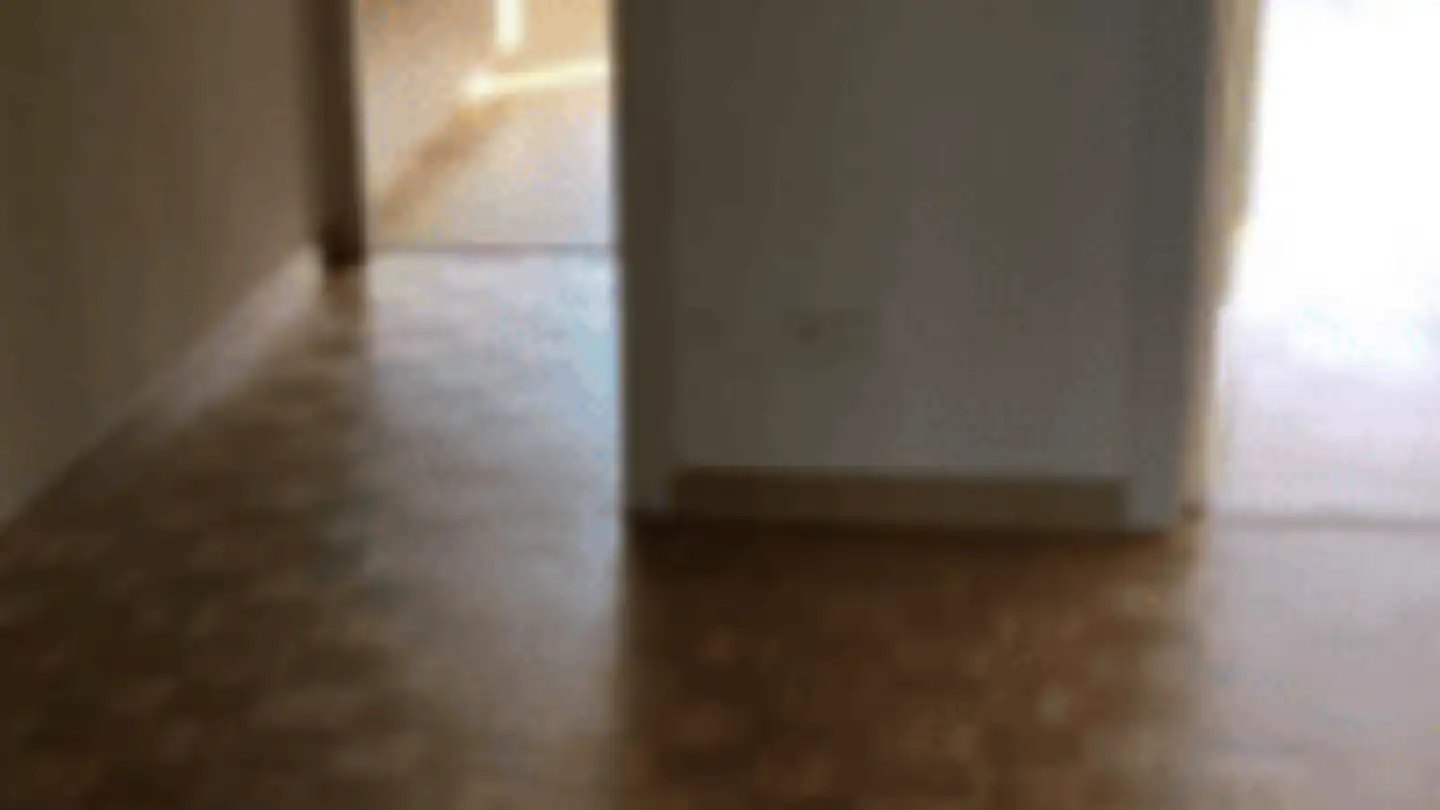 Appartamento in affitto - Chemin Des Palettes 1, 1212 Grand-Lancy - Foto 3