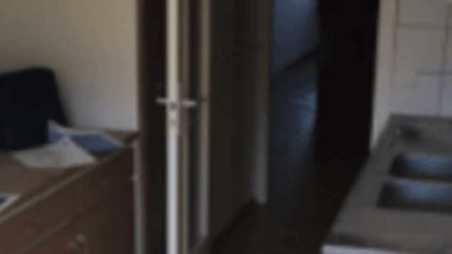 Appartamento in affitto - Chemin Des Palettes 1, 1212 Grand-Lancy - Foto 4