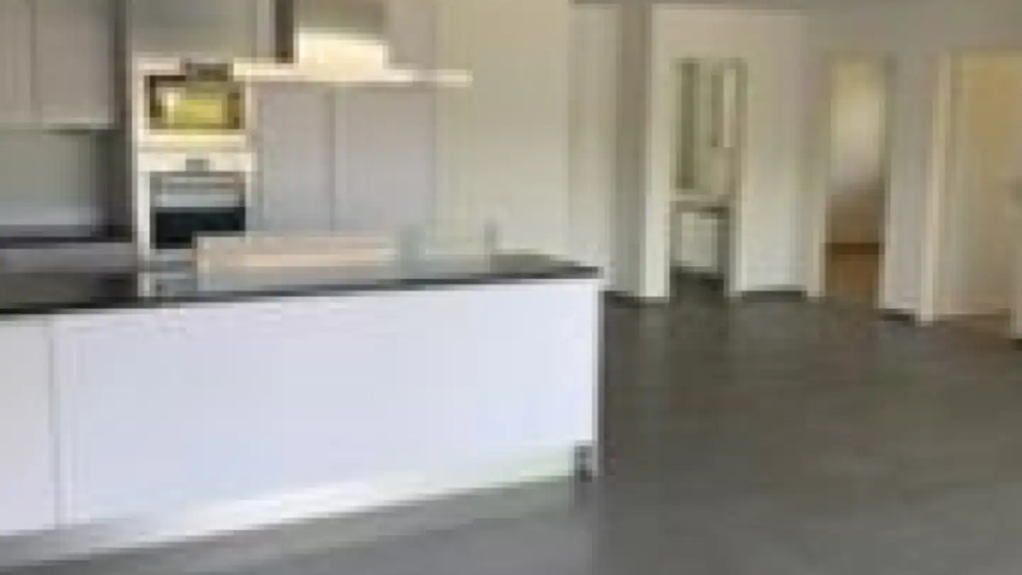 Stepped apartment for rent - Kasernenstrasse 51, 4410 Liestal - Photo 3