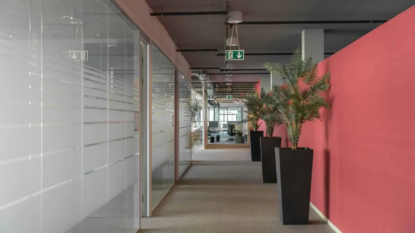 Bürofläche mieten - La Voie-Creuse 14, 1202 Genève - Foto 3