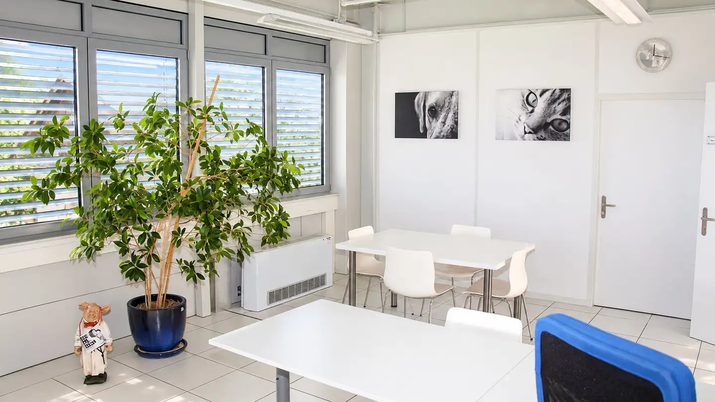 Bürofläche mieten - Gewerbestrasse 1, 3421 Lyssach - Foto 4