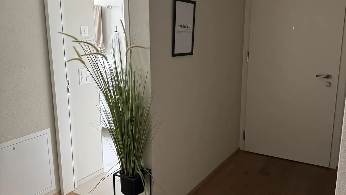 Appartamento in affitto - Hamelirainstrasse 9, 8302 Kloten - Foto 3