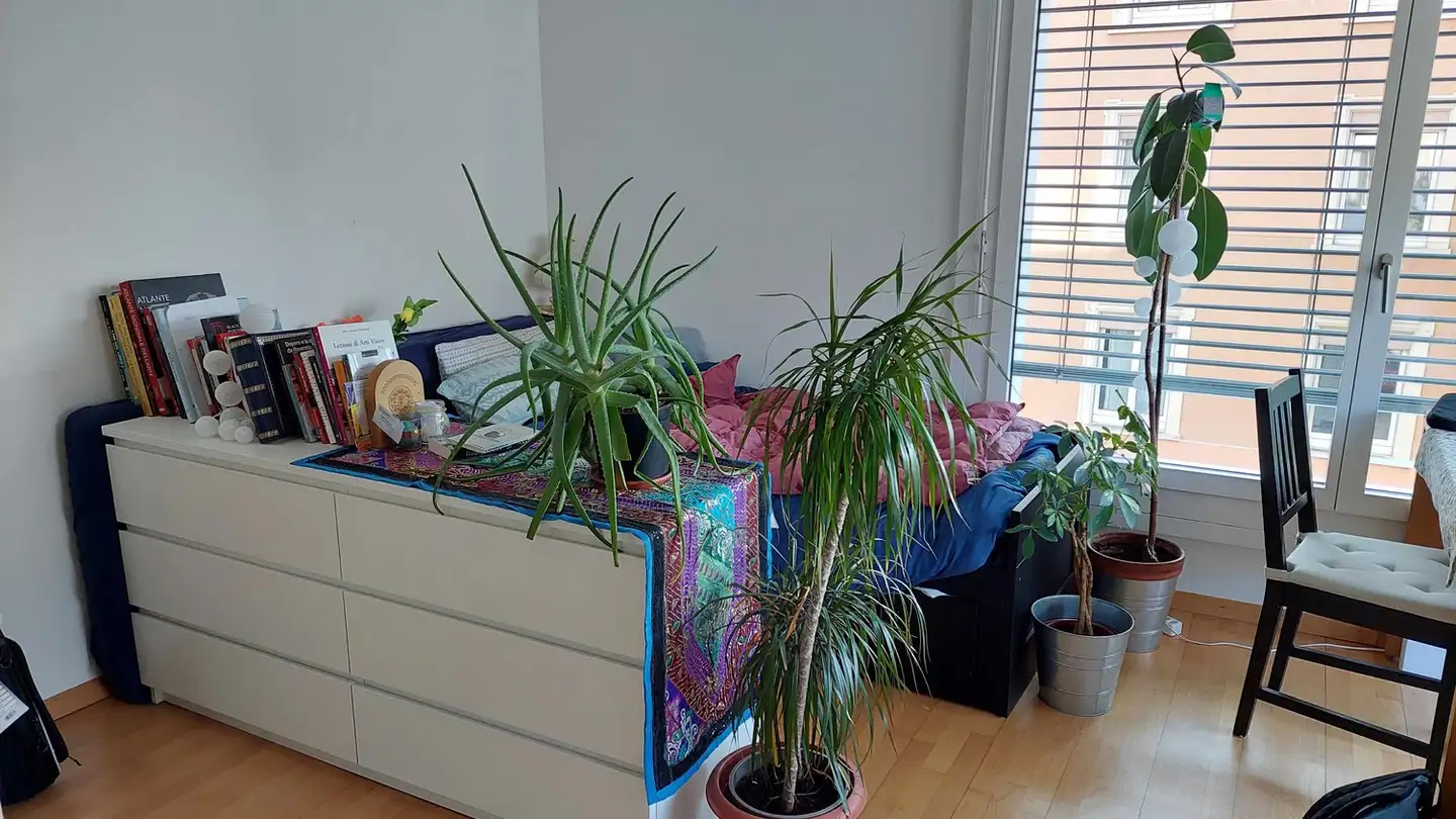 Appartamento in affitto - Huttenstrasse, 8006 Zürich - Foto 2