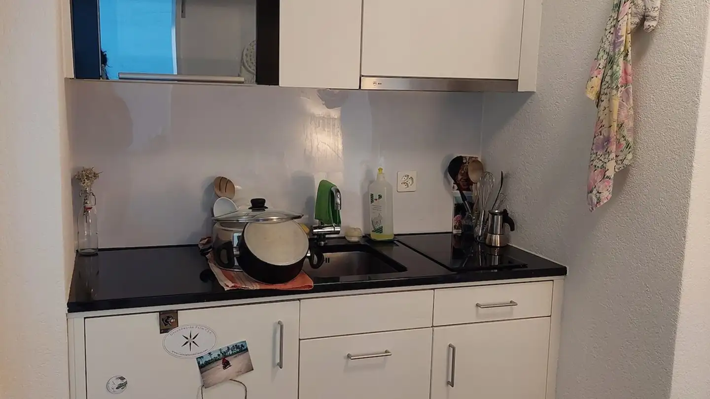 Appartamento in affitto - Huttenstrasse, 8006 Zürich - Foto 4