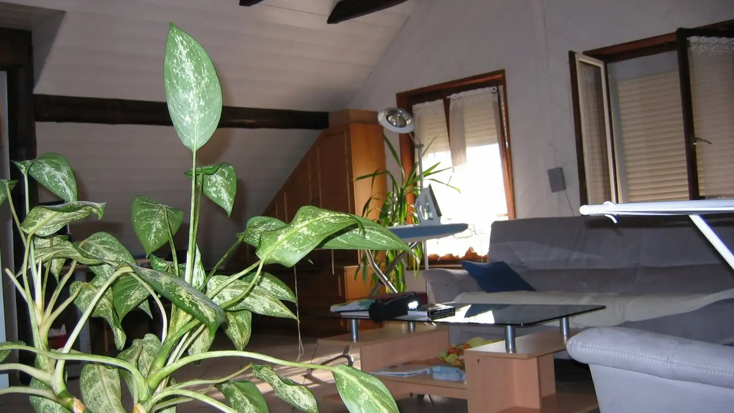 Appartement à louer - 2854 Bassecourt - Photo 3