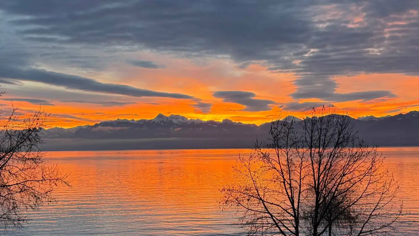 Apartment for sale - 1180 Rolle