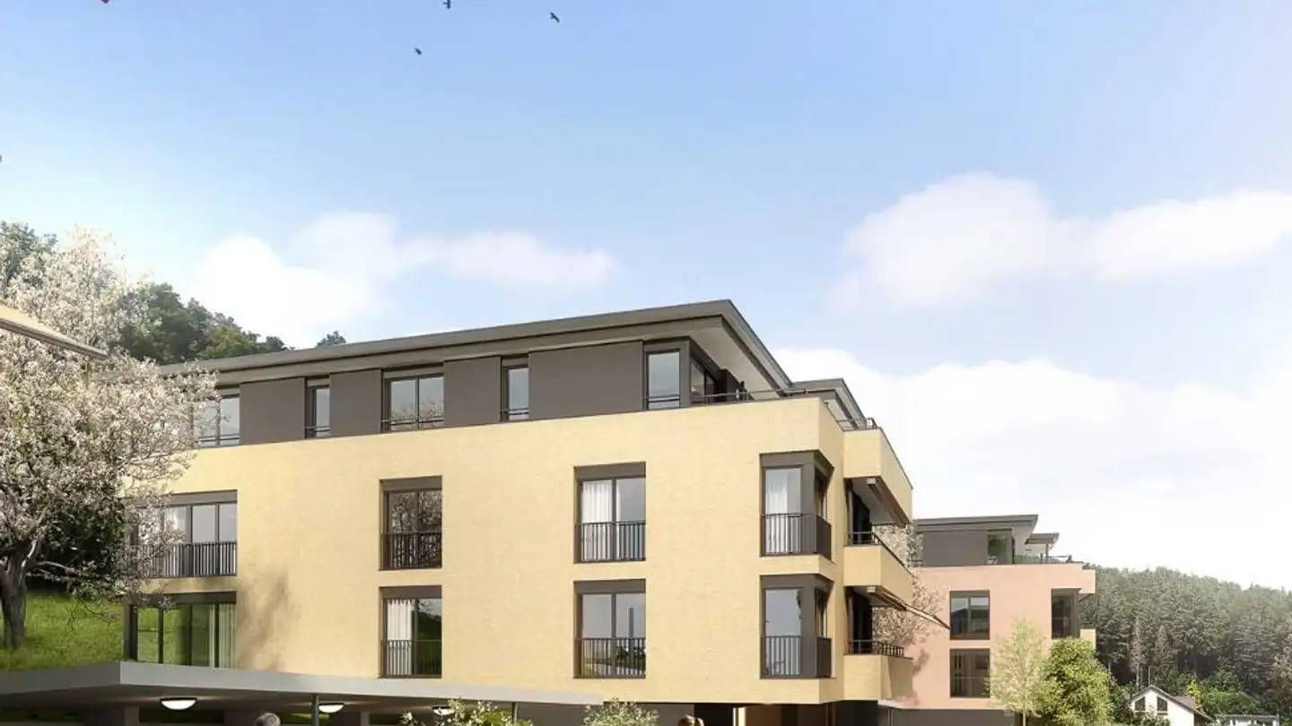 Appartamento in vendita - Tiergartenstrasse, 4410 Liestal - Foto 2