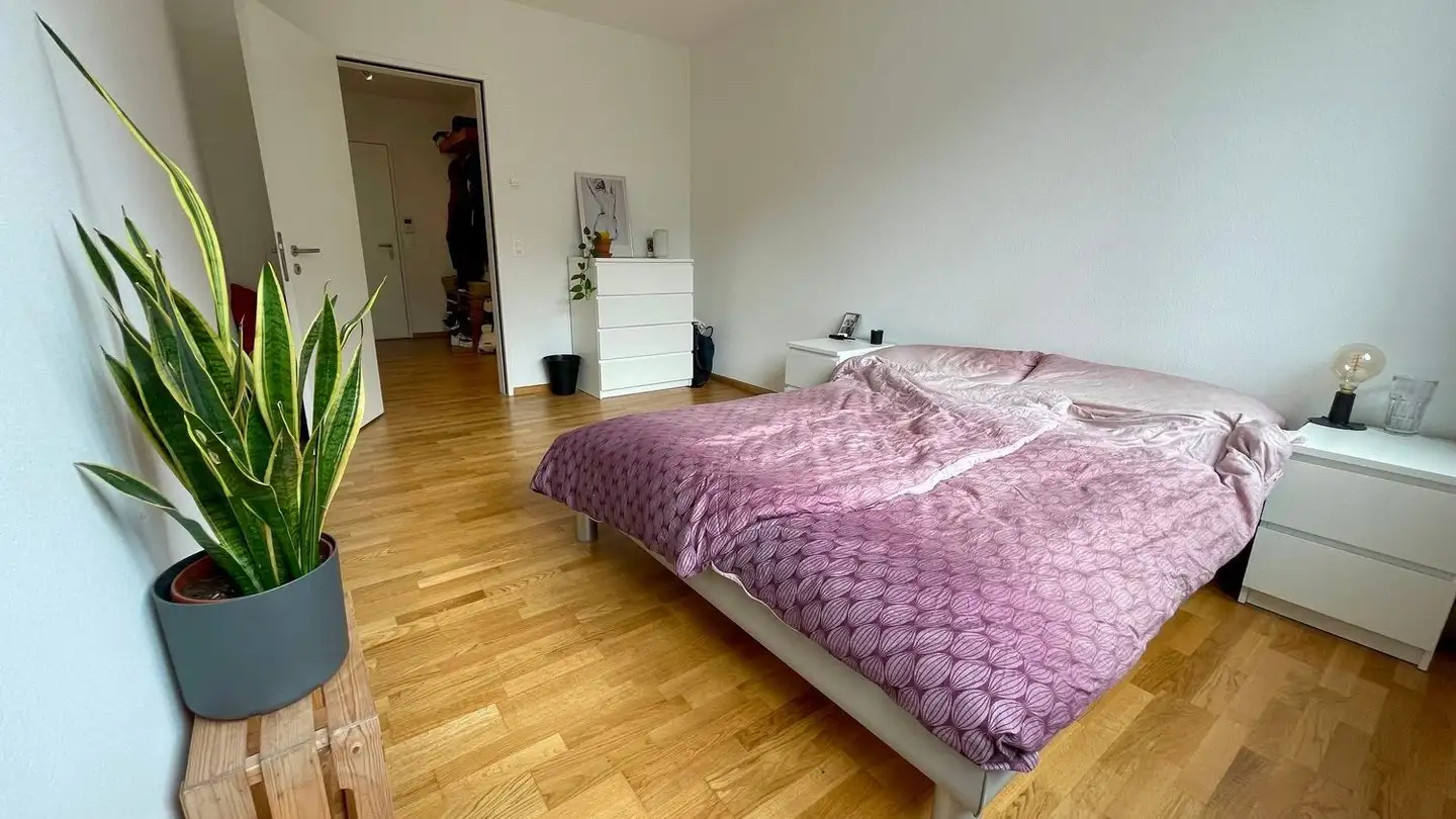 Appartamento ammobiliato in affitto - Dorenbachstrasse, 4102 Binningen - Foto 3