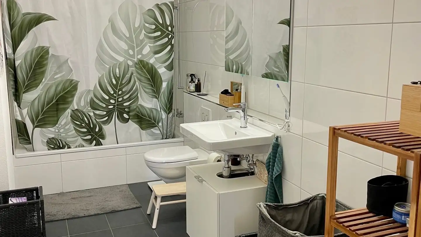 Appartamento ammobiliato in affitto - Dorenbachstrasse, 4102 Binningen - Foto 4
