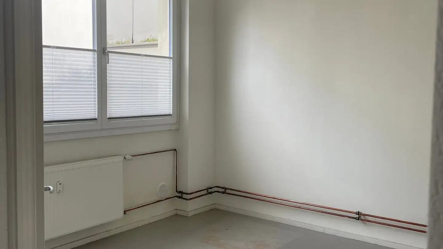 Gewerbe mieten - Curt Goetz-Strasse, 4102 Binningen - Foto 3