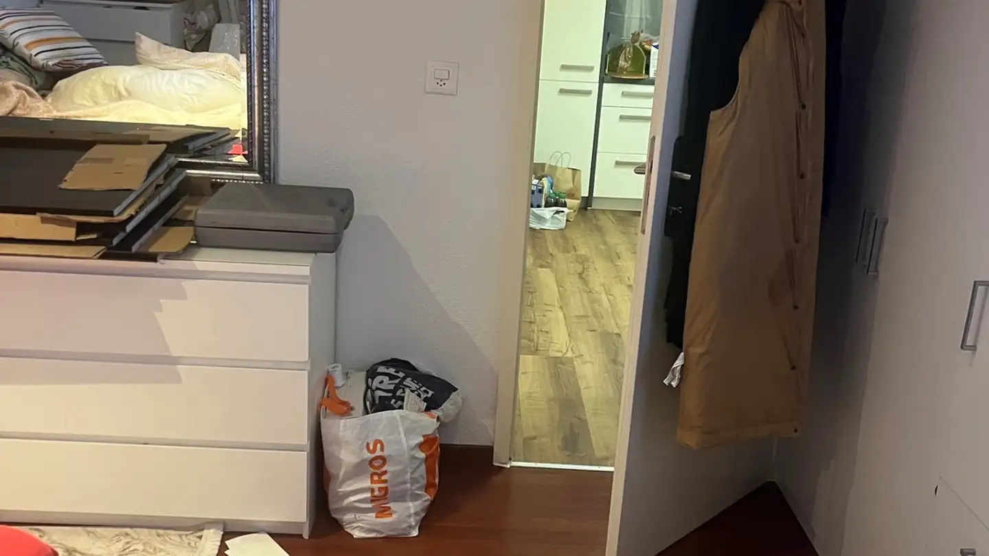 Apartment for rent - Sömmerlistrasse 1, 9000 St. Gallen - Photo 3