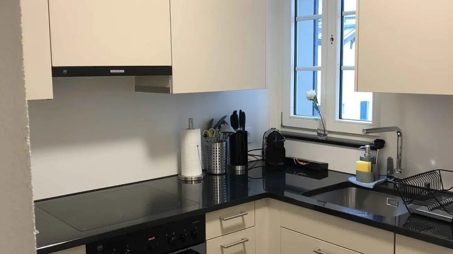 Chambre à louer - Pestalozzistrasse 18, 8032 Zürich - Photo 3