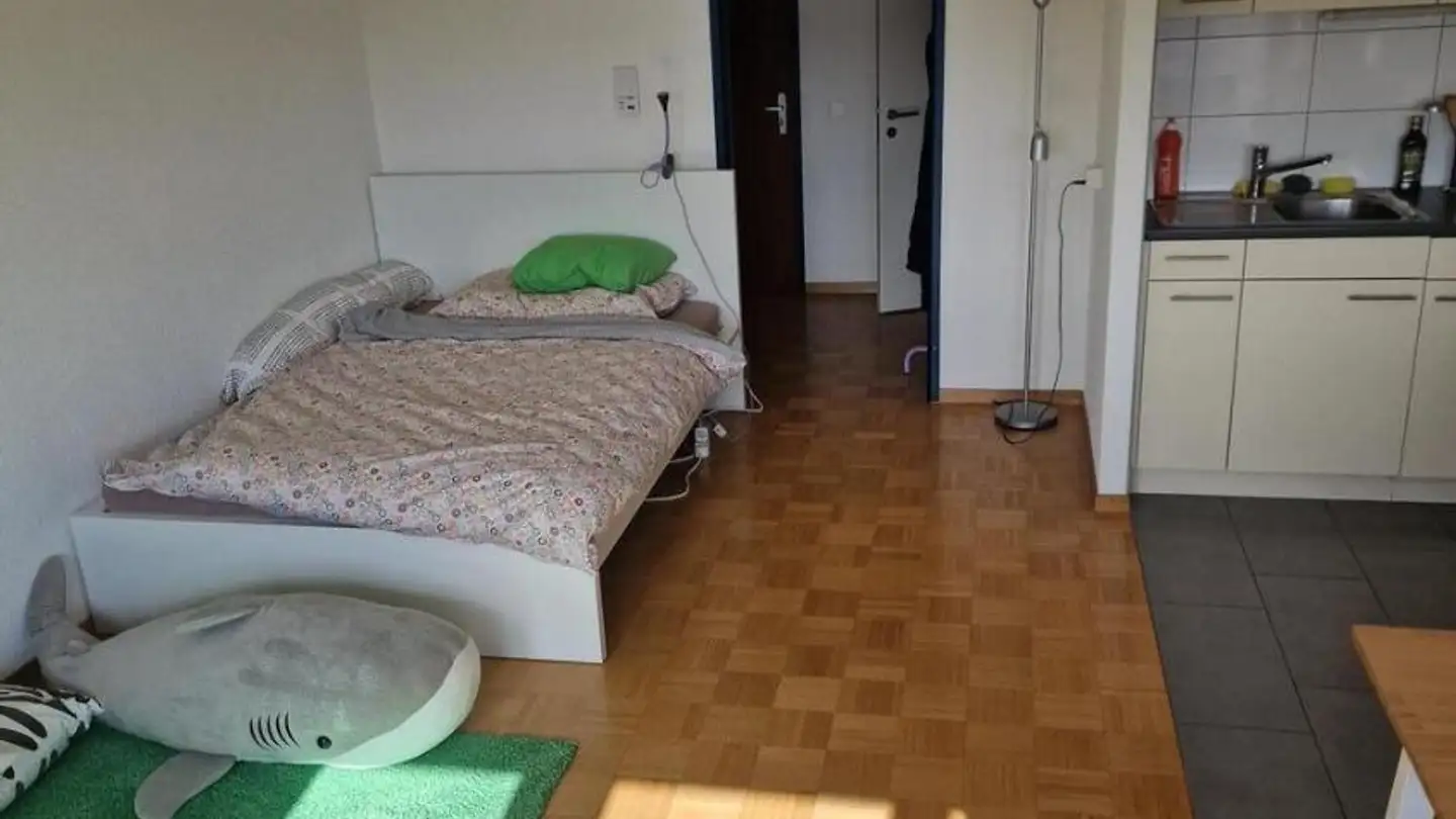 Appartamento in affitto - Route De Schiffenen 2, 1700 Fribourg - Foto 2