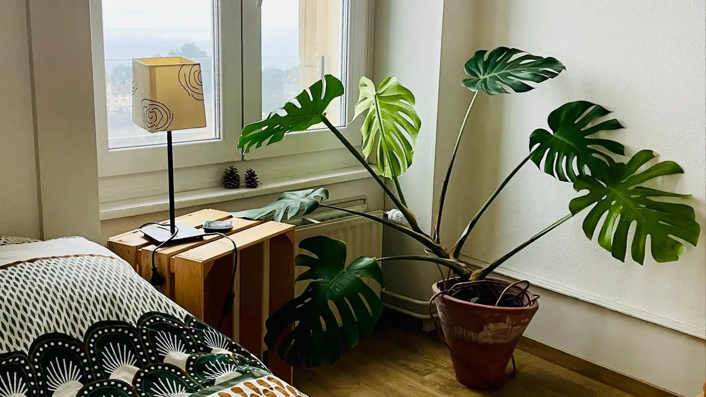 Single room for rent - Chemin Des Ribaudes, 2000 Neuchâtel - Photo 4