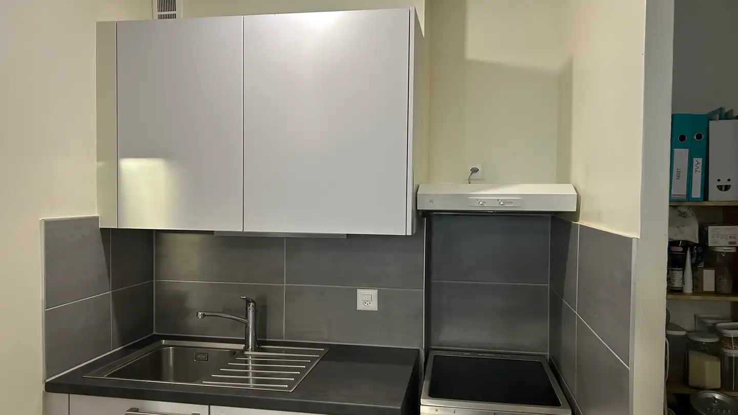Apartment for rent - Avenue Cardinal- Mermillod, 1227 Carouge GE