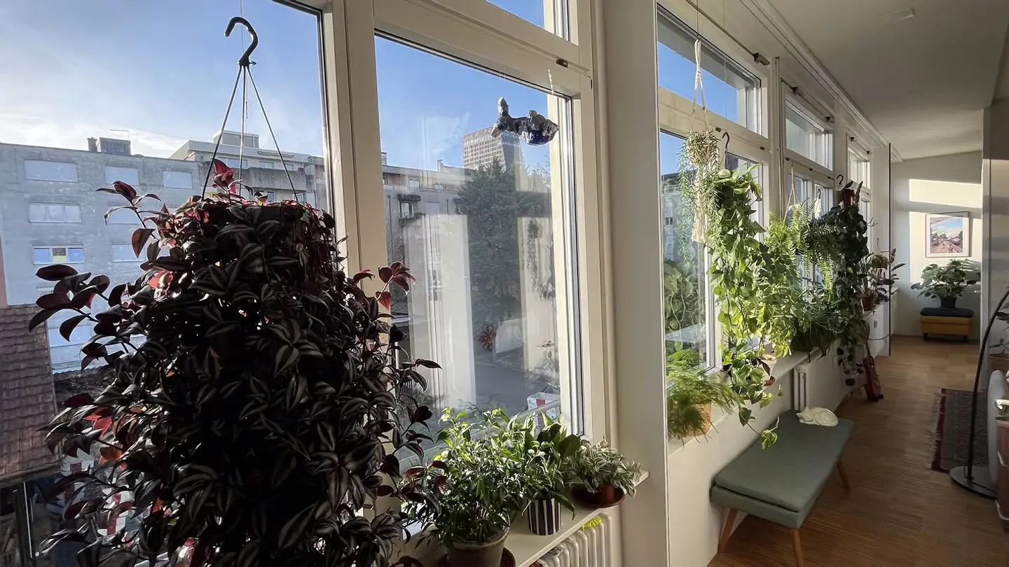 Appartamento in affitto - Isteinerstrasse 82, 4058 Basel - Photo 2