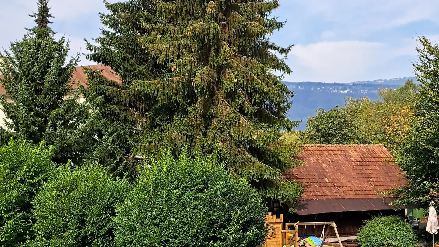 Appartamento in vendita - Kirchstrasse 8, 2558 Aegerten - Foto 2